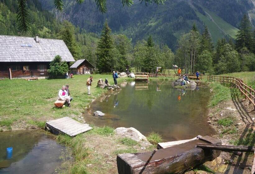 Отель Dorfergut