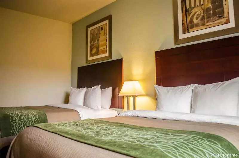 Отель Comfort Inn & Suites