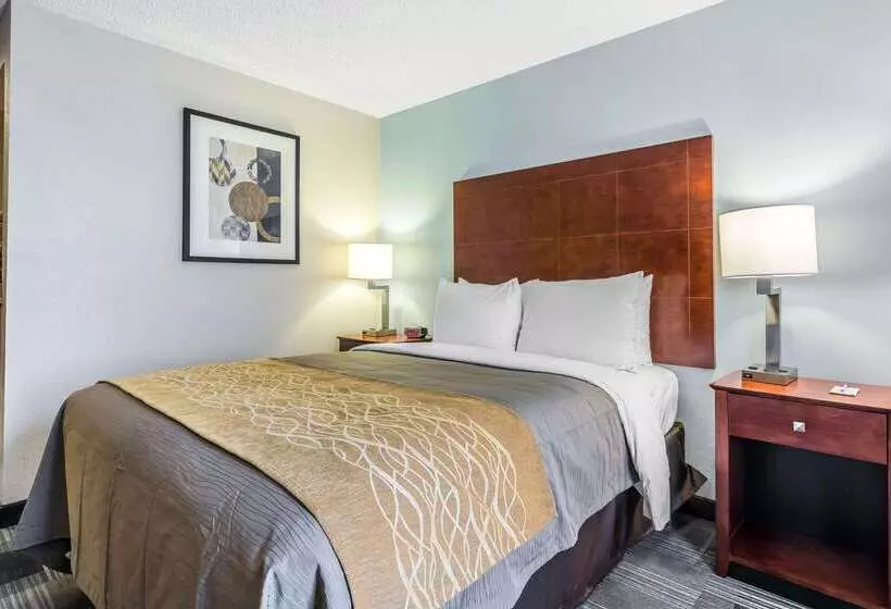 هتل Comfort Inn Sw Omaha I80