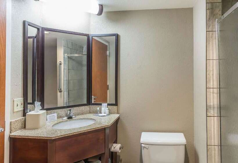 فندق Comfort Inn Sw Omaha I80