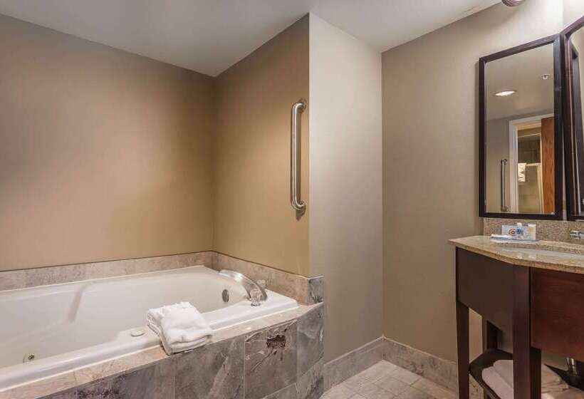 فندق Comfort Inn Sw Omaha I80