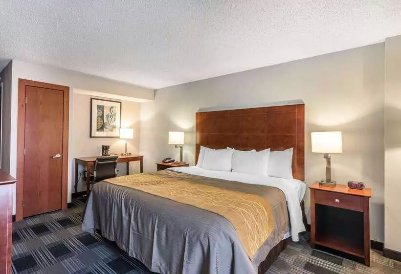 هتل Comfort Inn Sw Omaha I80