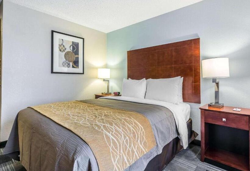 فندق Comfort Inn Sw Omaha I80