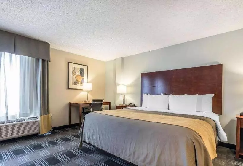 هتل Comfort Inn Sw Omaha I80