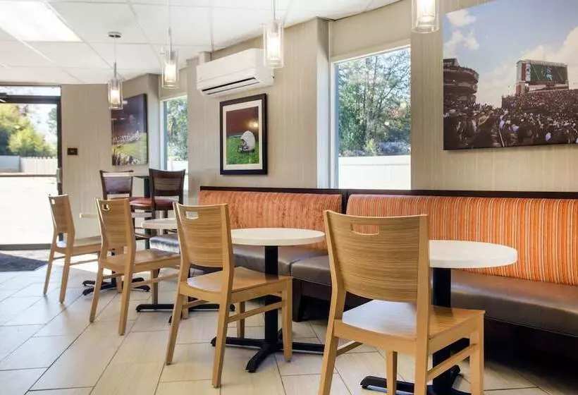 Gallus Stadium Park Inn, Ascend Hotel Collection