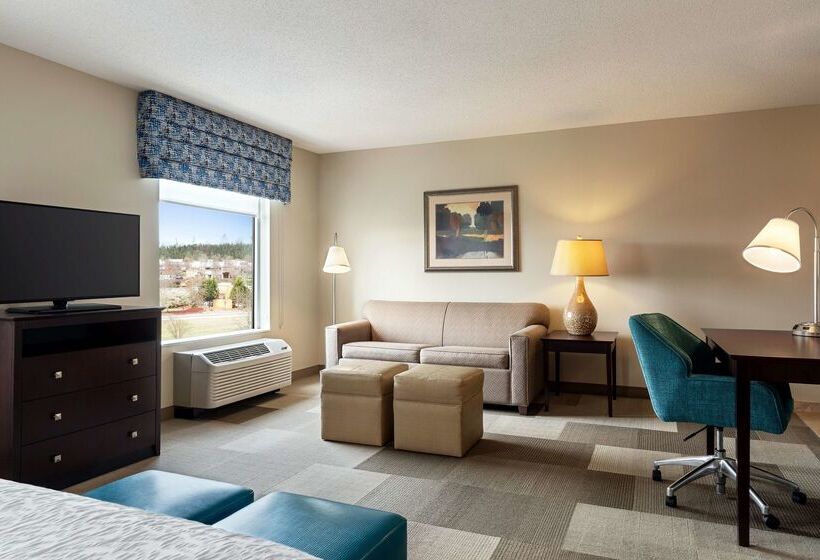 בית מלון כפרי Hampton Inn & Suites Atlanta Airport West/camp Creek Pkwy