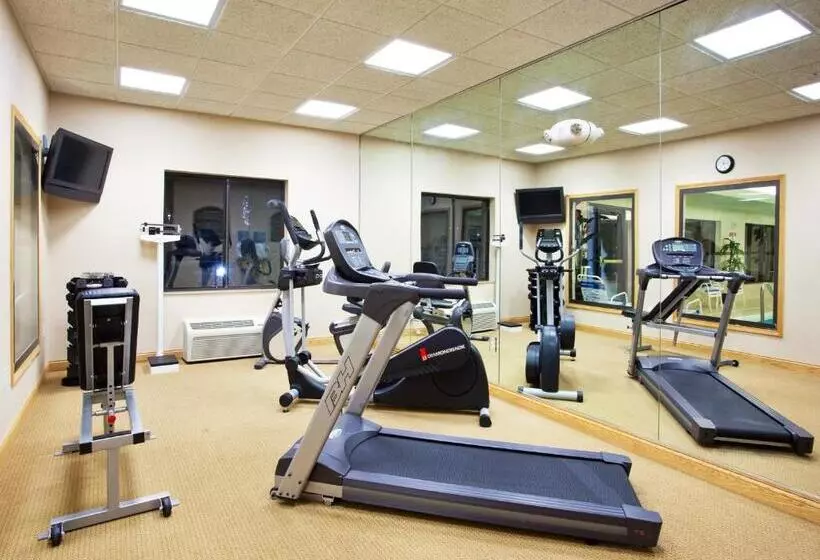 Holiday Inn Express Hotel & Suites Detroit Utica, An Ihg