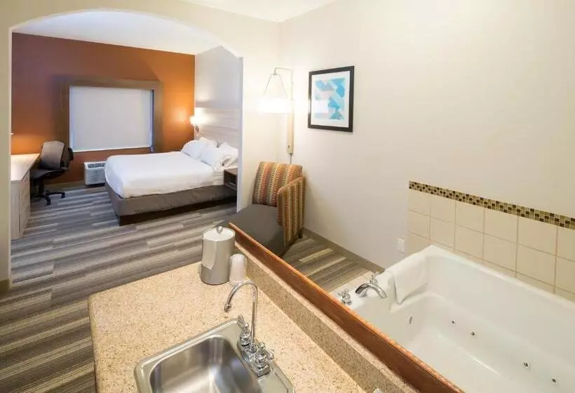 Holiday Inn Express Hotel & Suites Detroit Utica, An Ihg