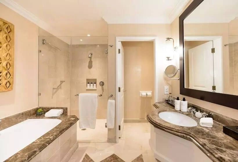 Intercontinental Johannesburg Or Tambo Airport Hotel, An Ihg