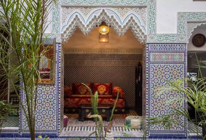 酒店 Riad Naila & Suite