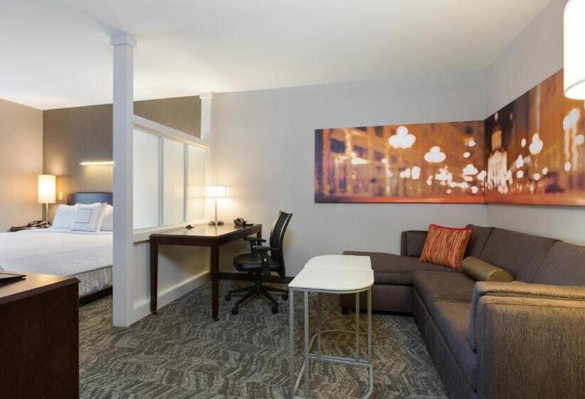 هتل Springhill Suites Indianapolis Fishers