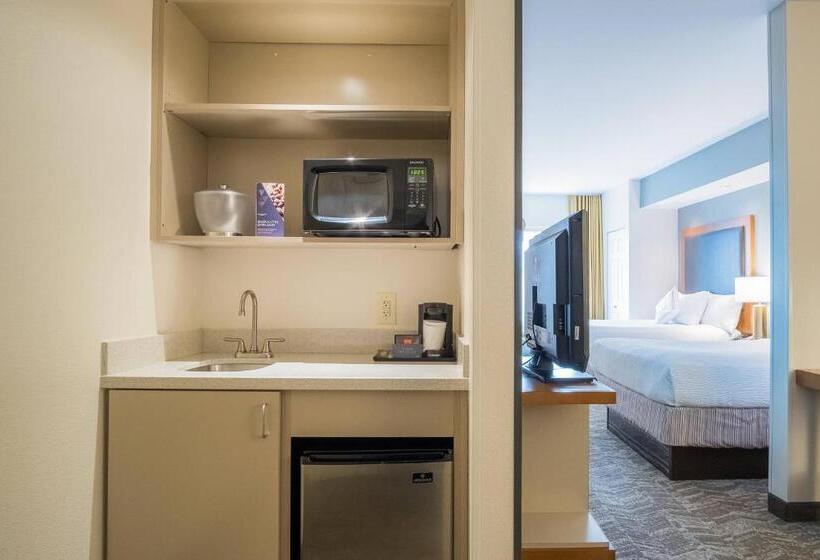 فندق Springhill Suites By Marriott Winston Salem Hanes Mall