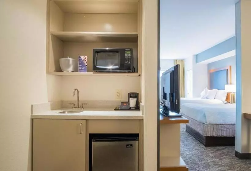 ホテル Springhill Suites By Marriott Winston Salem Hanes Mall