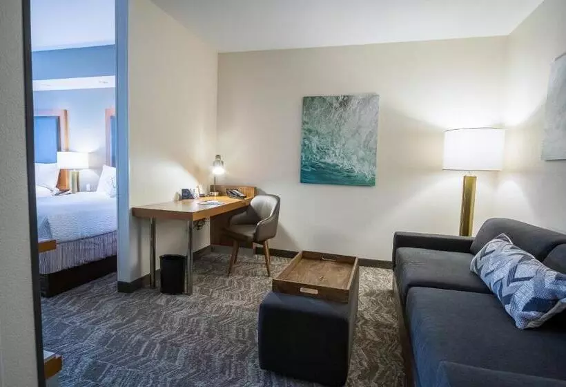 ホテル Springhill Suites By Marriott Winston Salem Hanes Mall