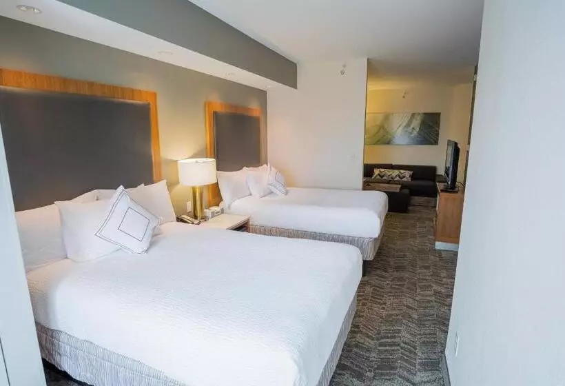 ホテル Springhill Suites By Marriott Winston Salem Hanes Mall