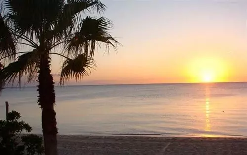 Pineapple Fields Hotel Condo