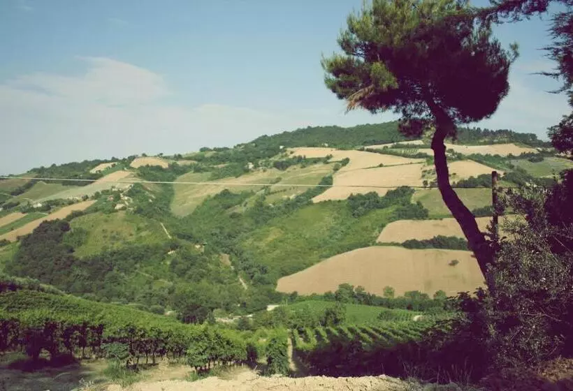 Aamiaismajoitus (B&B) Il Podere Del Nonno