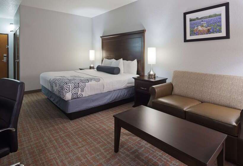 酒店 Best Western Plus Fredericksburg