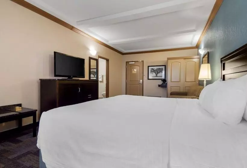 Hotel Best Western Plus Kamloops