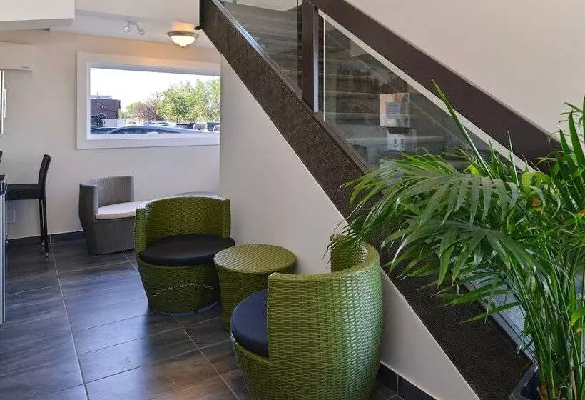 ホテル Economy Inn