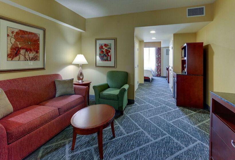 فندق Hilton Garden Inn Indianapolis Airport