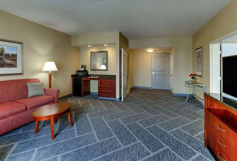 酒店 Hilton Garden Inn Indianapolis Airport