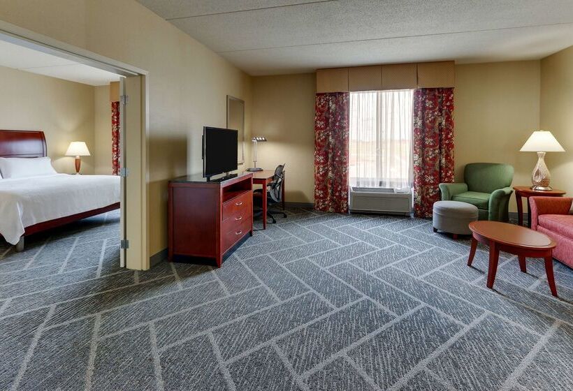 فندق Hilton Garden Inn Indianapolis Airport