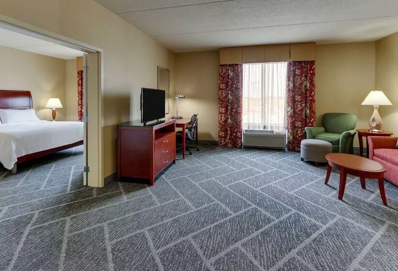 酒店 Hilton Garden Inn Indianapolis Airport