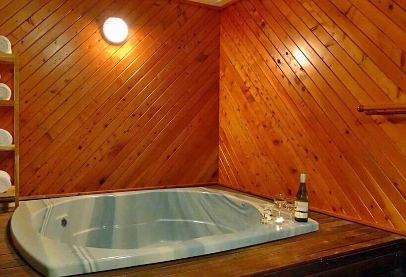 Rotorua Coachman Spa Motel