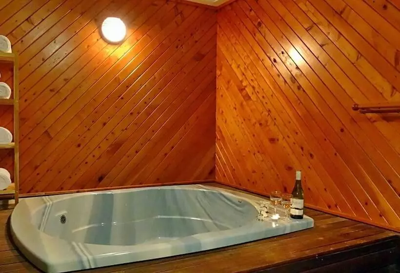 Rotorua Coachman Spa Motel