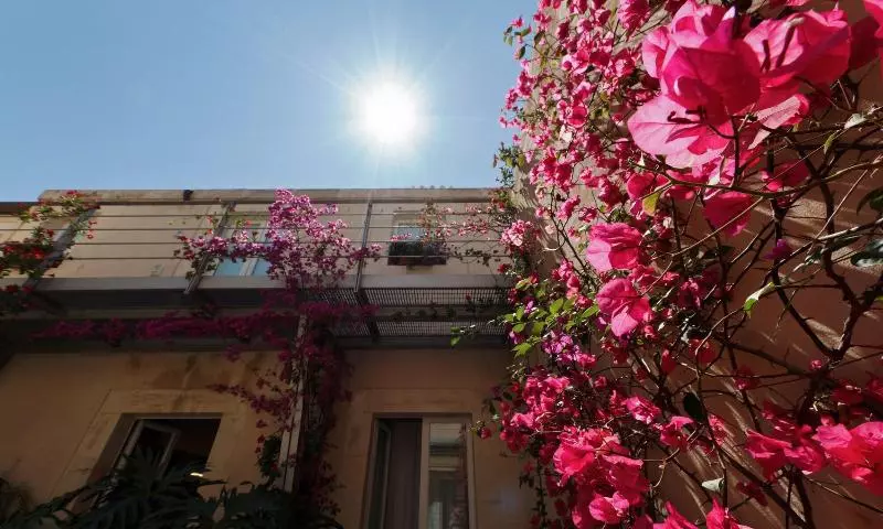 Отель La Moresca Maison De Charme