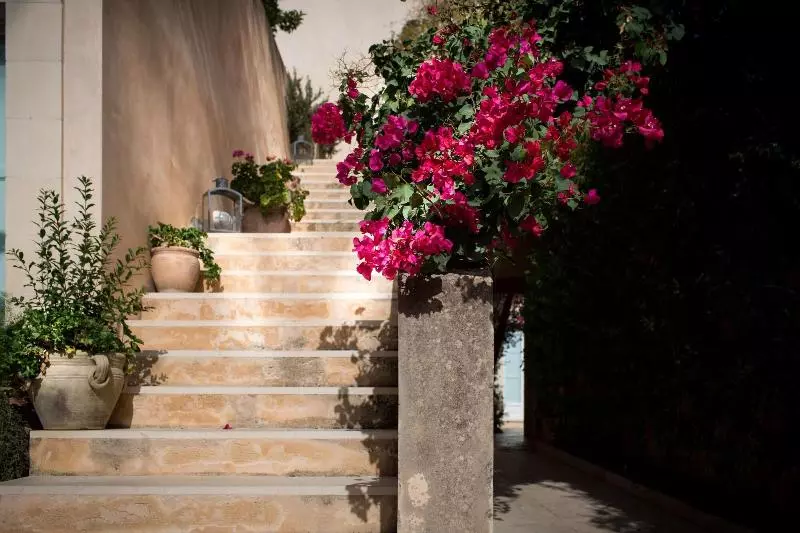 Отель La Moresca Maison De Charme