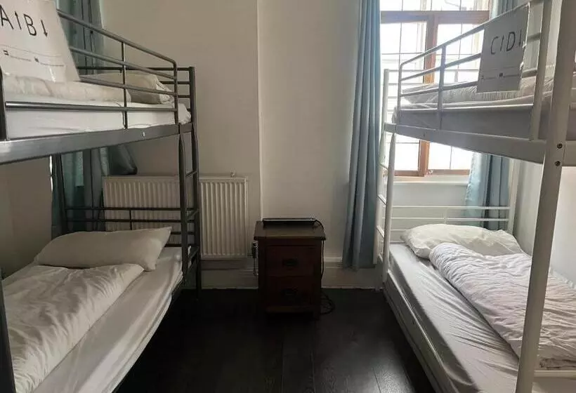 The Walrus Bar And Hostel