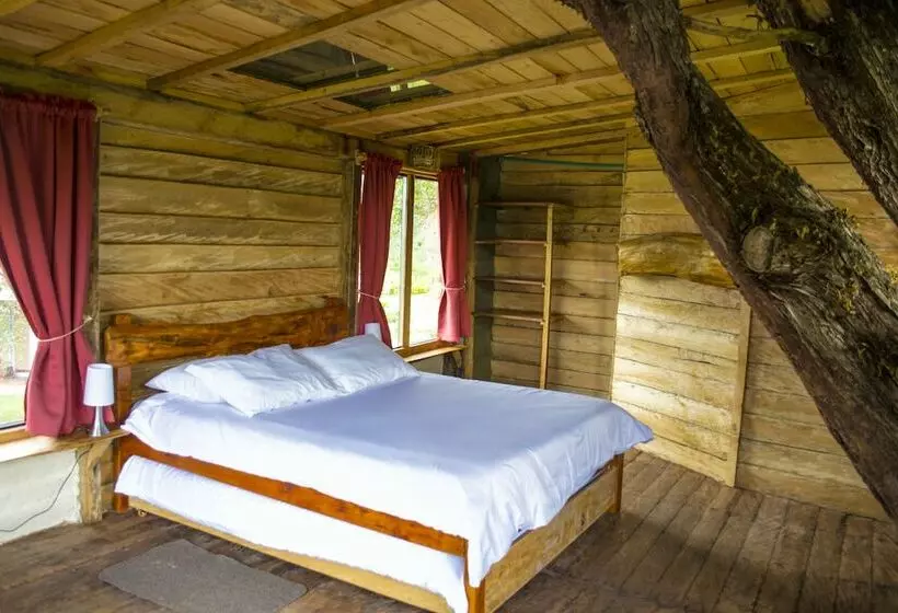 ペンション Monte Verde Cabañas & Camping