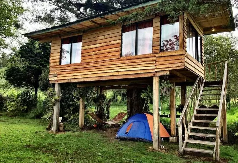 ペンション Monte Verde Cabañas & Camping