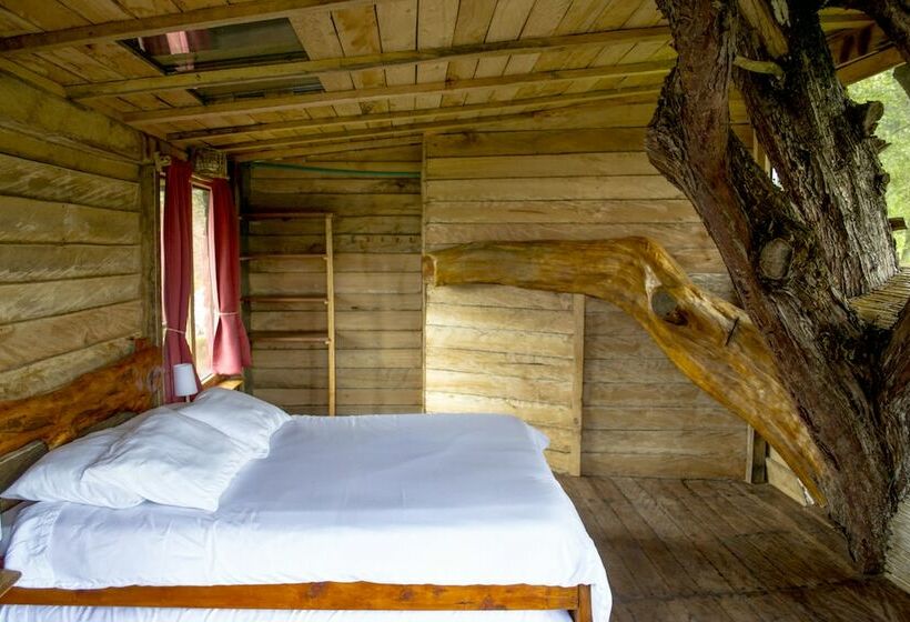 פנסיון Monte Verde Cabañas & Camping