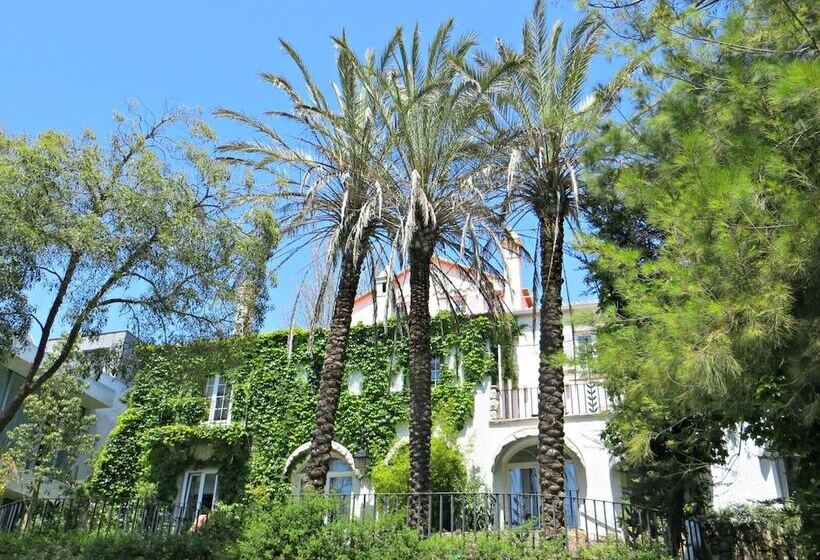 צימר Casa Vela Boutique House