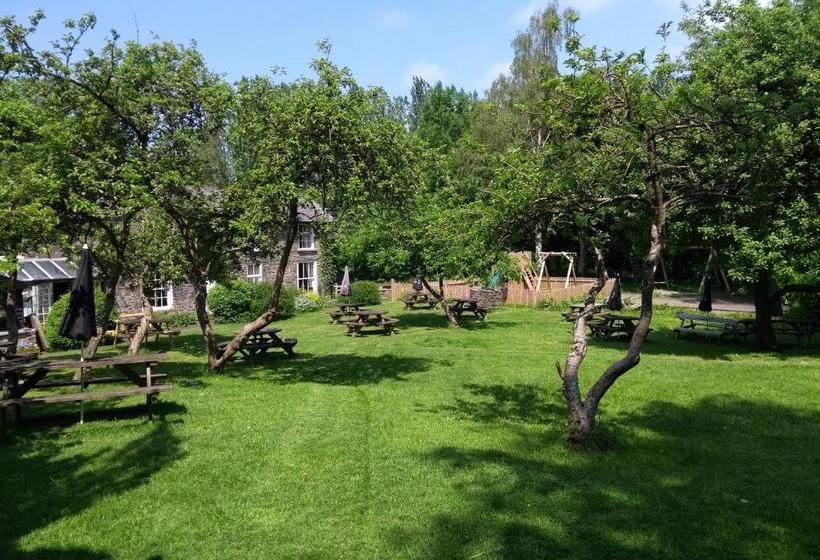 住宿加早餐  Llanerch Inn