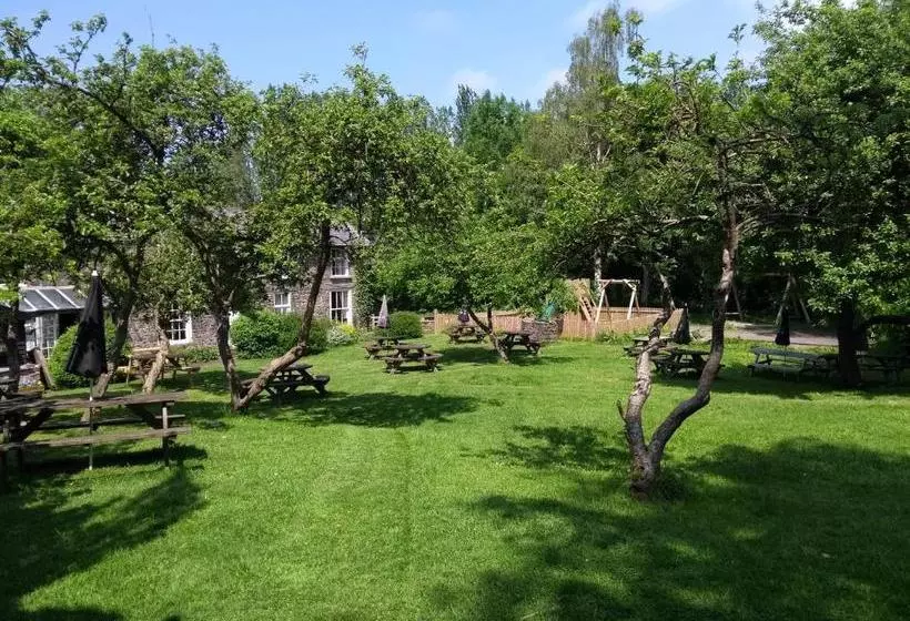 Nocleg ze śniadaniem Llanerch Inn