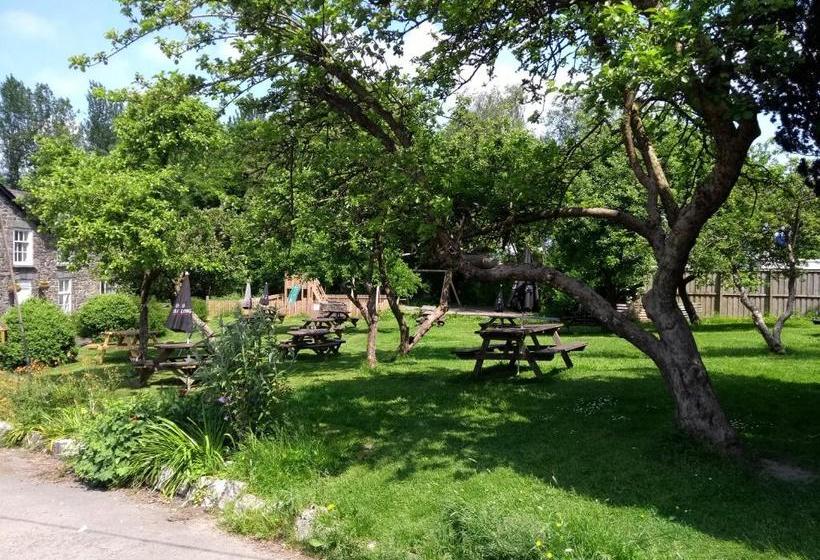 住宿加早餐  Llanerch Inn