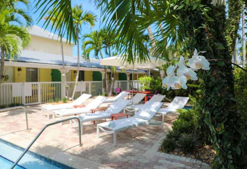 فندق Almond Tree Inn  Adults Only