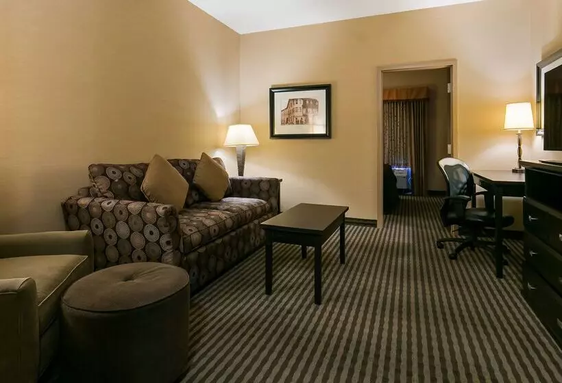 酒店 Best Western Sunrise Inn & Suites