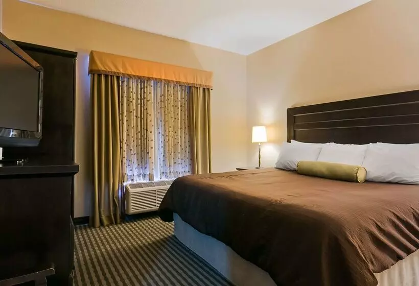 酒店 Best Western Sunrise Inn & Suites