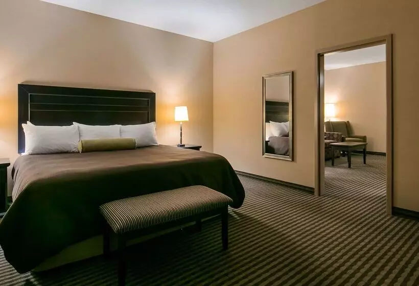 酒店 Best Western Sunrise Inn & Suites