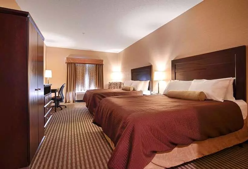 酒店 Best Western Sunrise Inn & Suites