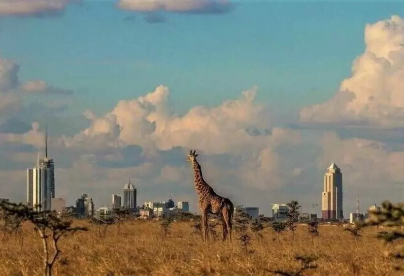 ホテル Boma Inn Nairobi