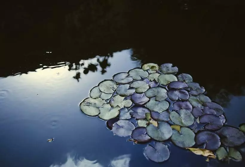 ホテル Boma Inn Nairobi