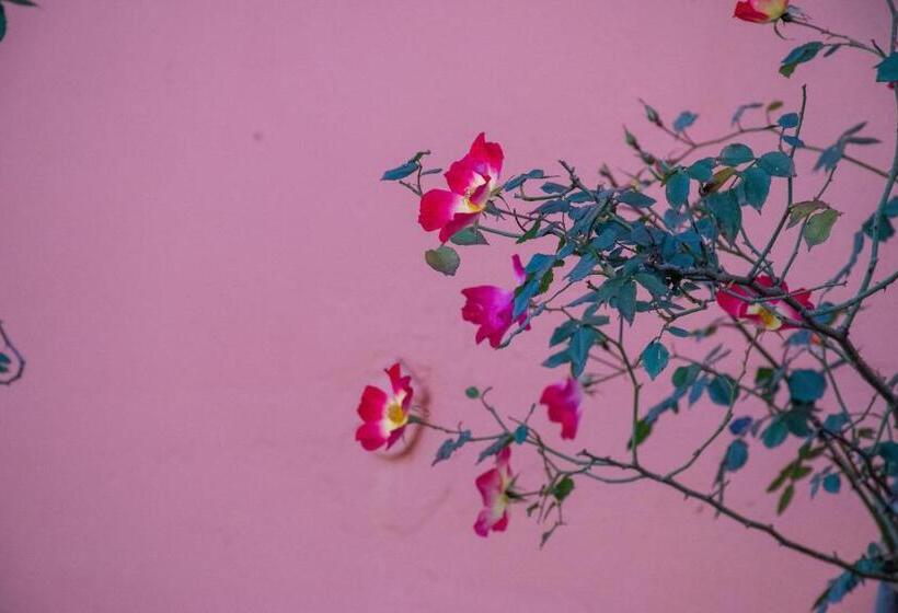 בית מלון כפרי Byron Traditional