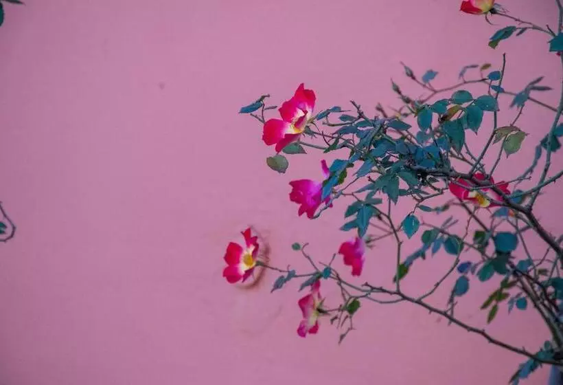 Hotel Byron Traditional