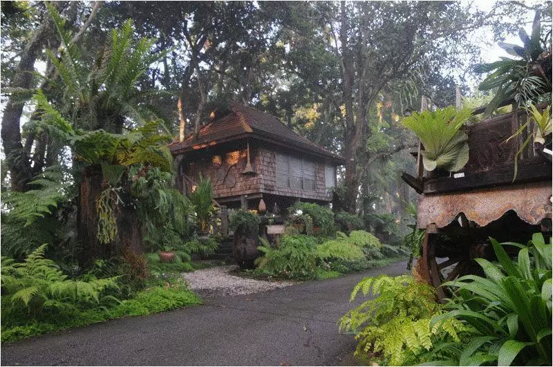 בית מלון כפרי Fern Paradise